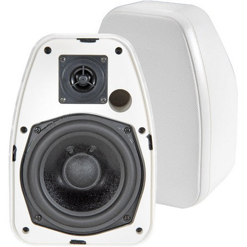 BIC America Indoor-Outdoor Speaker - 2-way