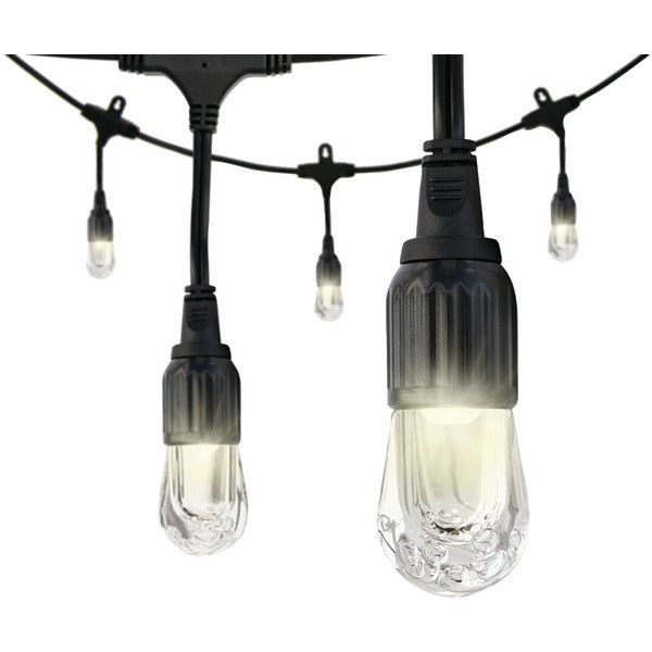 Classic LED Cafe Lights(TM) (12ft; 6 Acrylic Bulbs)
