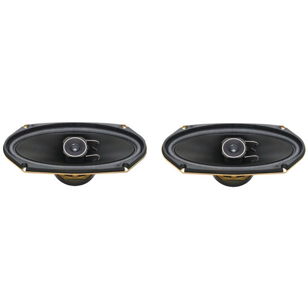 A-Series 4" x 10" 120-Watt 2-Way Speakers