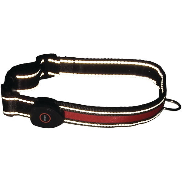 LED Dog Collar (Large)