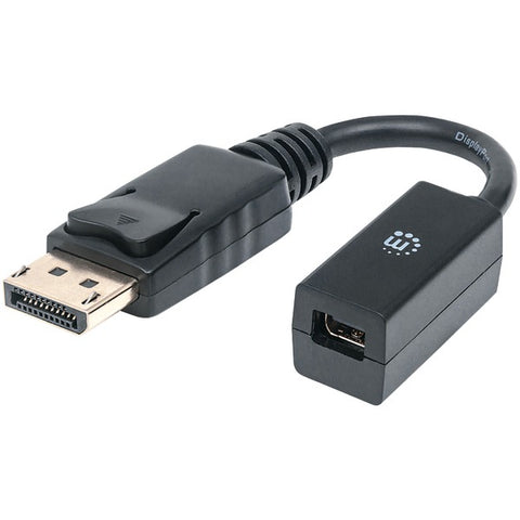 DisplayPort(TM) to Mini DisplayPort(TM) Adapter