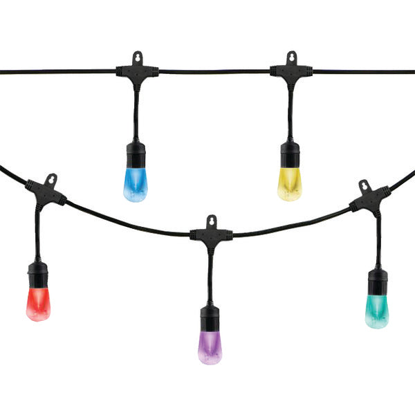 Seasons LED Color Changing Cafe Lights(TM) (48ft; 24 Acrylic Bulbs)