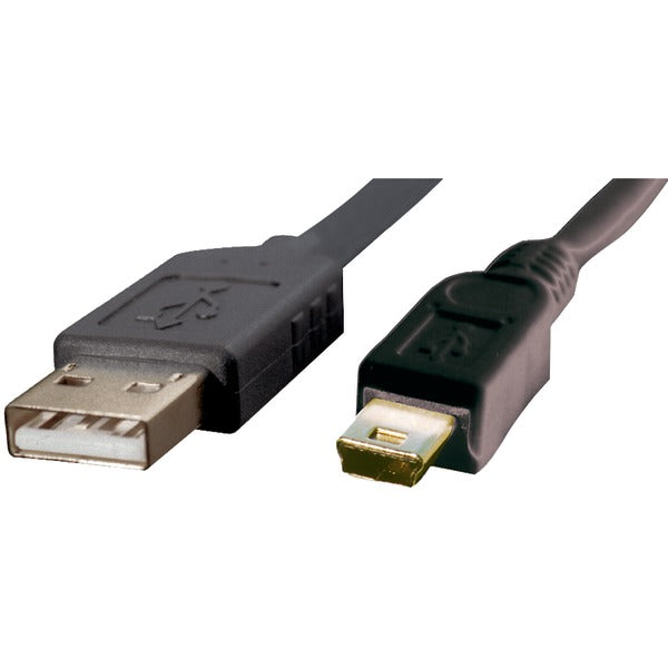 A-Male to Mini B-Male USB 2.0 Cable, 6ft