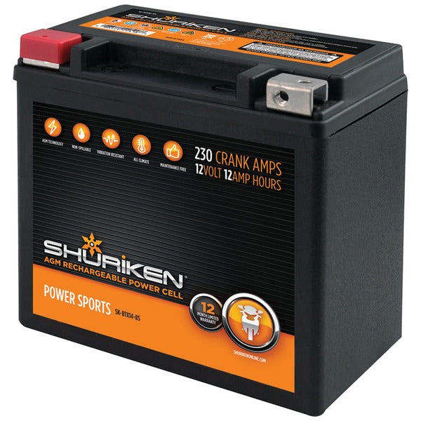 230 Crank Amps 12Ah AGM Powersports 12-Volt Battery