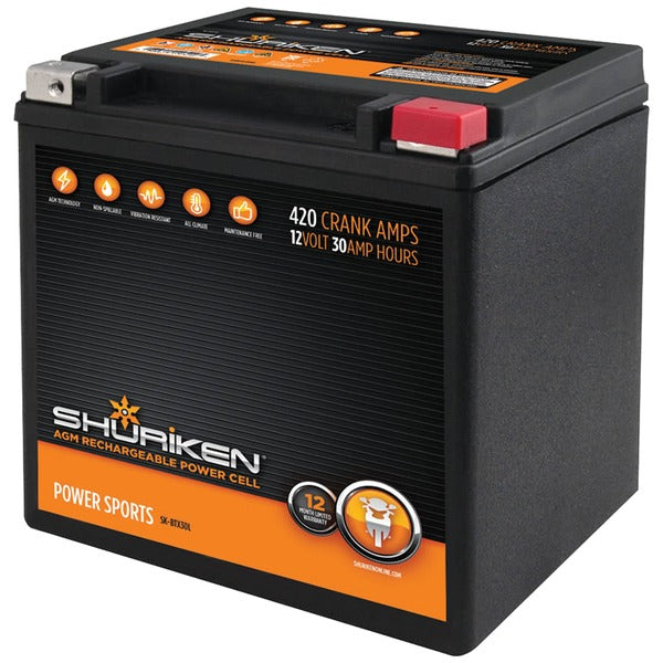 420 Crank Amps 30Ah AGM Powersports 12-Volt Battery