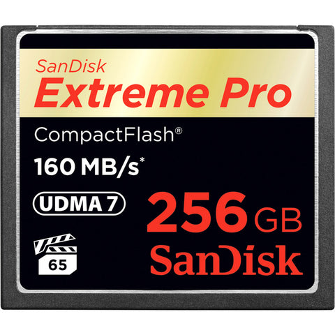 SanDisk Extreme Pro 256 GB CompactFlash